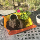 Indoor/Outdoor Plant Repotting Mat