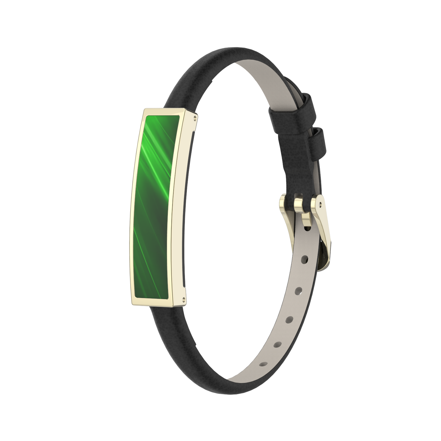 Wellness & Activity Tracker - Leather